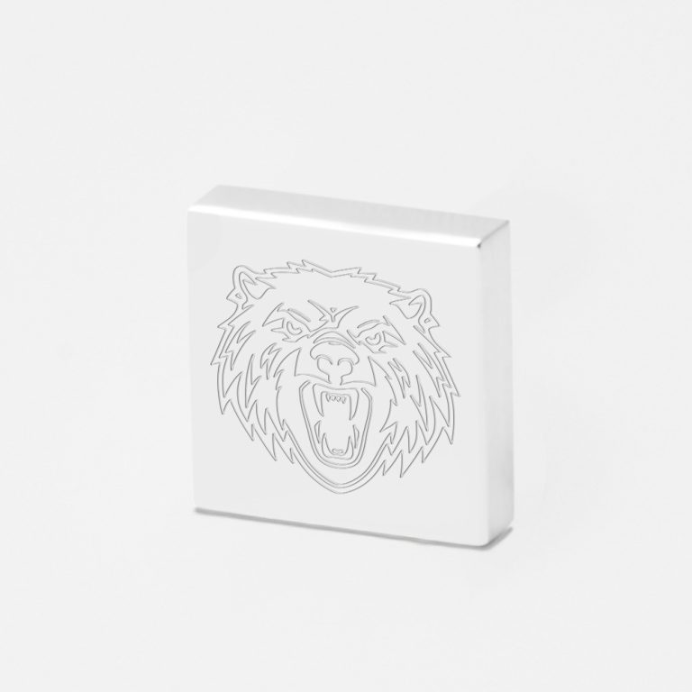 Bristol-Bears-Rugby-Engraved-Lapel-Pin