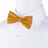 cinnamon-bowtie