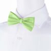 mint-bowtie