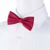 mulberry-bowtie