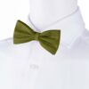 olive-bowtie