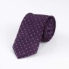 eggplant-lilac-microdot-tie
