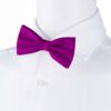 purple-bowtie