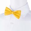 saffron-bowtie