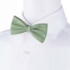 sage-bowtie