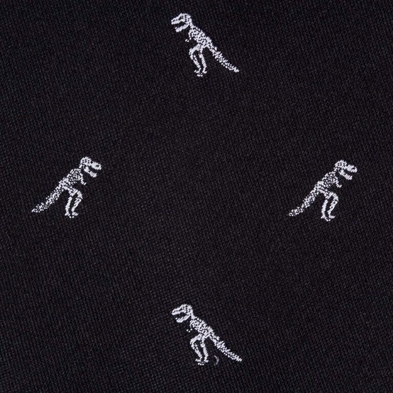 dinosaur-tie
