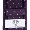 eggplant-lilac-microdot-tie