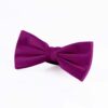 purple-bowtie