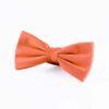 terracotta-bowtie