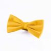 yellow-bowtie